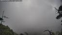 ./images/calvert/fitz-hugh-hecate/20250702/fitz-hugh-hecate20250702_084510M.jpg