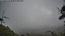 ./images/calvert/fitz-hugh-hecate/20250702/fitz-hugh-hecate20250702_085510M.jpg