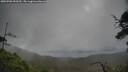 ./images/calvert/fitz-hugh-hecate/20250702/fitz-hugh-hecate20250702_090510M.jpg