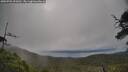 ./images/calvert/fitz-hugh-hecate/20250702/fitz-hugh-hecate20250702_091010M.jpg