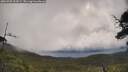 ./images/calvert/fitz-hugh-hecate/20250702/fitz-hugh-hecate20250702_092007M.jpg