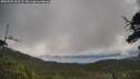 ./images/calvert/fitz-hugh-hecate/20250702/fitz-hugh-hecate20250702_092509M.jpg