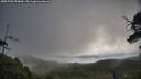 ./images/calvert/fitz-hugh-hecate/20250702/fitz-hugh-hecate20250702_094010M.jpg