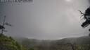 ./images/calvert/fitz-hugh-hecate/20250702/fitz-hugh-hecate20250702_095510M.jpg