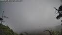 ./images/calvert/fitz-hugh-hecate/20250702/fitz-hugh-hecate20250702_101008M.jpg