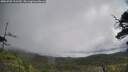 ./images/calvert/fitz-hugh-hecate/20250702/fitz-hugh-hecate20250702_101510M.jpg