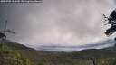./images/calvert/fitz-hugh-hecate/20250702/fitz-hugh-hecate20250702_102010M.jpg