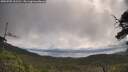 ./images/calvert/fitz-hugh-hecate/20250702/fitz-hugh-hecate20250702_102510M.jpg