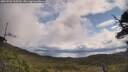 ./images/calvert/fitz-hugh-hecate/20250702/fitz-hugh-hecate20250702_105510M.jpg