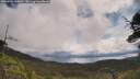 ./images/calvert/fitz-hugh-hecate/20250702/fitz-hugh-hecate20250702_110011M.jpg