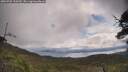 ./images/calvert/fitz-hugh-hecate/20250702/fitz-hugh-hecate20250702_110510M.jpg