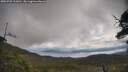 ./images/calvert/fitz-hugh-hecate/20250702/fitz-hugh-hecate20250702_111010M.jpg