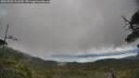./images/calvert/fitz-hugh-hecate/20250702/fitz-hugh-hecate20250702_111510M.jpg
