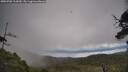 ./images/calvert/fitz-hugh-hecate/20250702/fitz-hugh-hecate20250702_112009M.jpg