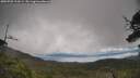 ./images/calvert/fitz-hugh-hecate/20250702/fitz-hugh-hecate20250702_113504M.jpg