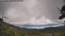 ./images/calvert/fitz-hugh-hecate/20250702/fitz-hugh-hecate20250702_114009M.jpg