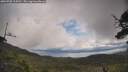 ./images/calvert/fitz-hugh-hecate/20250702/fitz-hugh-hecate20250702_114510M.jpg