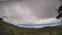 ./images/calvert/fitz-hugh-hecate/20250702/fitz-hugh-hecate20250702_115509M.jpg
