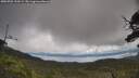 ./images/calvert/fitz-hugh-hecate/20250702/fitz-hugh-hecate20250702_120509M.jpg