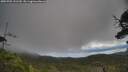./images/calvert/fitz-hugh-hecate/20250702/fitz-hugh-hecate20250702_121509M.jpg