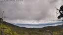 ./images/calvert/fitz-hugh-hecate/20250702/fitz-hugh-hecate20250702_122510M.jpg