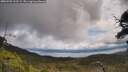 ./images/calvert/fitz-hugh-hecate/20250702/fitz-hugh-hecate20250702_123509M.jpg