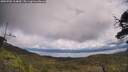./images/calvert/fitz-hugh-hecate/20250702/fitz-hugh-hecate20250702_124009M.jpg