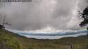 ./images/calvert/fitz-hugh-hecate/20250702/fitz-hugh-hecate20250702_125508M.jpg