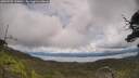 ./images/calvert/fitz-hugh-hecate/20250702/fitz-hugh-hecate20250702_130011M.jpg
