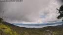 ./images/calvert/fitz-hugh-hecate/20250702/fitz-hugh-hecate20250702_130509M.jpg