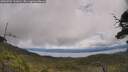 ./images/calvert/fitz-hugh-hecate/20250702/fitz-hugh-hecate20250702_131010M.jpg