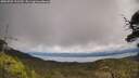 ./images/calvert/fitz-hugh-hecate/20250702/fitz-hugh-hecate20250702_132510M.jpg