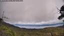 ./images/calvert/fitz-hugh-hecate/20250702/fitz-hugh-hecate20250702_133009M.jpg