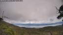 ./images/calvert/fitz-hugh-hecate/20250702/fitz-hugh-hecate20250702_134510M.jpg