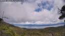 ./images/calvert/fitz-hugh-hecate/20250702/fitz-hugh-hecate20250702_135010M.jpg