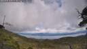 ./images/calvert/fitz-hugh-hecate/20250702/fitz-hugh-hecate20250702_135509M.jpg