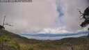 ./images/calvert/fitz-hugh-hecate/20250702/fitz-hugh-hecate20250702_140010M.jpg