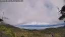 ./images/calvert/fitz-hugh-hecate/20250702/fitz-hugh-hecate20250702_140509M.jpg