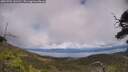 ./images/calvert/fitz-hugh-hecate/20250702/fitz-hugh-hecate20250702_141510M.jpg