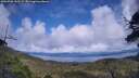 ./images/calvert/fitz-hugh-hecate/20250702/fitz-hugh-hecate20250702_142509M.jpg