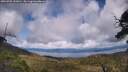 ./images/calvert/fitz-hugh-hecate/20250702/fitz-hugh-hecate20250702_143010M.jpg