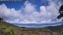 ./images/calvert/fitz-hugh-hecate/20250702/fitz-hugh-hecate20250702_143508M.jpg