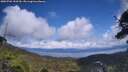 ./images/calvert/fitz-hugh-hecate/20250702/fitz-hugh-hecate20250702_144510M.jpg