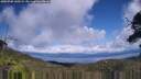 ./images/calvert/fitz-hugh-hecate/20250702/fitz-hugh-hecate20250702_145509M.jpg
