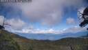 ./images/calvert/fitz-hugh-hecate/20250702/fitz-hugh-hecate20250702_162509M.jpg
