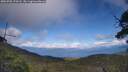 ./images/calvert/fitz-hugh-hecate/20250702/fitz-hugh-hecate20250702_170508M.jpg