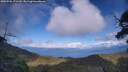 ./images/calvert/fitz-hugh-hecate/20250702/fitz-hugh-hecate20250702_171510M.jpg