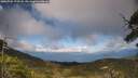 ./images/calvert/fitz-hugh-hecate/20250702/fitz-hugh-hecate20250702_173508M.jpg