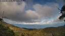 ./images/calvert/fitz-hugh-hecate/20250702/fitz-hugh-hecate20250702_192009M.jpg