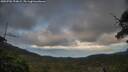 ./images/calvert/fitz-hugh-hecate/20250702/fitz-hugh-hecate20250702_194008M.jpg